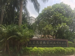 祝東莞高豐木業(yè)制品有限公司通過BV  BSCI、FCCA、SCS驗廠